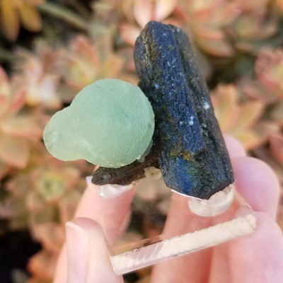 Prehnite with Epidote Collector Quality Mineral Specimen from Mali