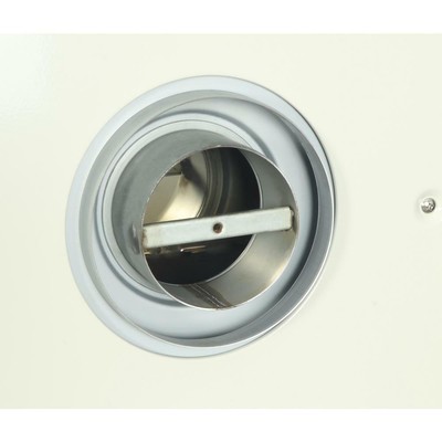 Ashley Hearth Products Direct Vent Heater Propane Gas Wall Furnace 17,000 BTU