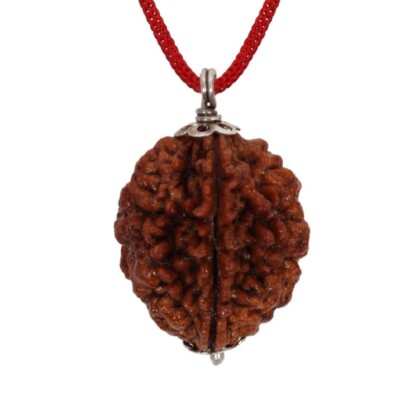 Brown 2 Mukhi Rudraksha Pendant Mantra Siddha Two Face Certified With Lab Report