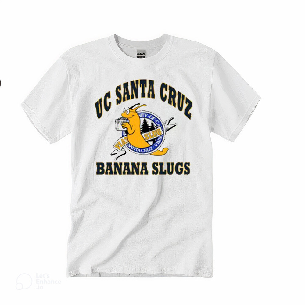 パルプフィクション UC SANTA CRUZ BANANA SLUG Tシャツ バナナスラッグ 映画 Pulp Fiction コピーライト ヴィンテージ ビンテージ 00s