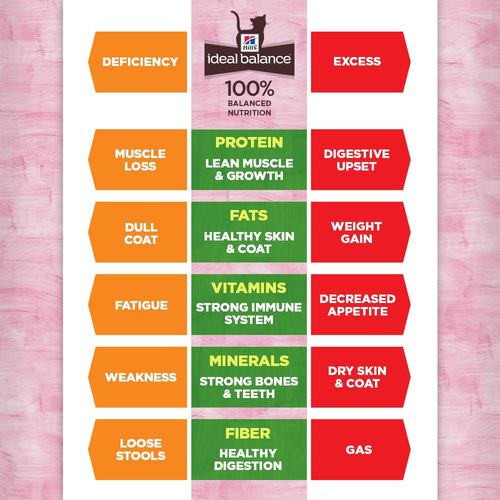 Hill'S Ideal Balance Adult Natural Cat Food, Chicken & Brown Rice Recipe Dry Cat