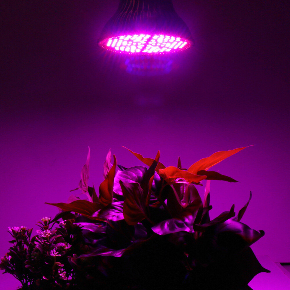 78 LEDs Plant Light Bulb Full Spectrum Grow Lights Indoor Sunlike Growing Lamp f  eBay