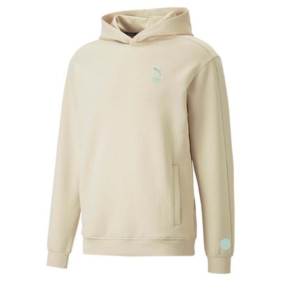 

Мужская бежевая повседневная толстовка с капюшоном Puma AT X 52356588, Бежевый
