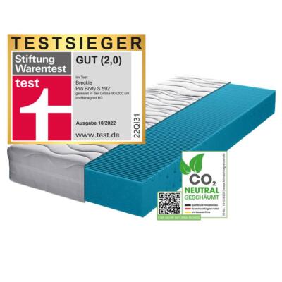 Matratze Pro Body S 592 7-Zonen Allergikergeeignet Kaltschaum Seitenschläfer