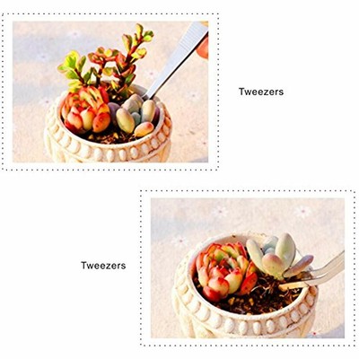 Mini Garden Tools Set, My Decor 15Pcs Succulent Transplanting Miniature Fairy