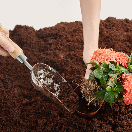 Berry&Bird Garden Hand Shovel Loose Soil Scoop Stainless Steel Hand Shovel Spade