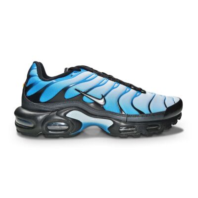 

Мужские кроссовки Nike Tuned 1 Air Max Plus TN — FQ0204 010 — черный металлик, серебристый