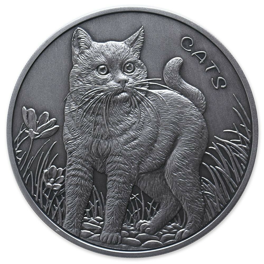 2021 フィジー　猫と草花　1オンス銀貨プルーフライク　パッケージやや難あり $_57.JPG?set_id=880000500F