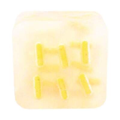 Fuze Body - Joy - Burst Bar