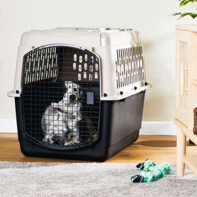 Pet travel cages for sale new arrivals