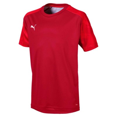 Puma Cup Training Crew Neck Short Sleeve Soccer Jersey Youth Boys Red 656024-01