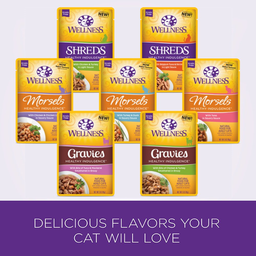 Wellness Healthy Indulgence Natural Grain Free Wet Cat Food, Morsels Tuna, Pouch