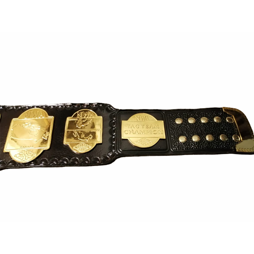 NWA World Tag Team Gold Plate 2MM/4MM Zinc Wrestling Championship Title Belt - Picture 3 of 6