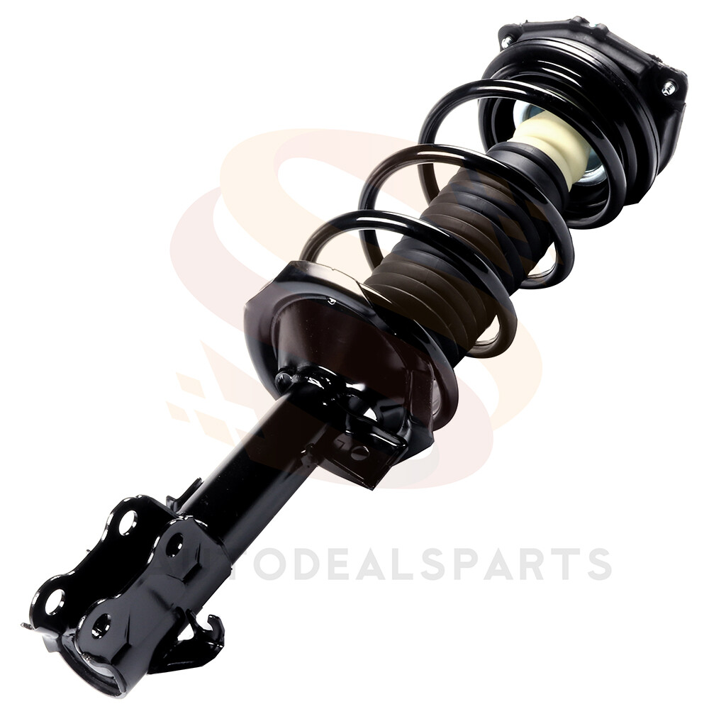 qanuta　LTD SuperV DSWHSNTR-supernova-womens-