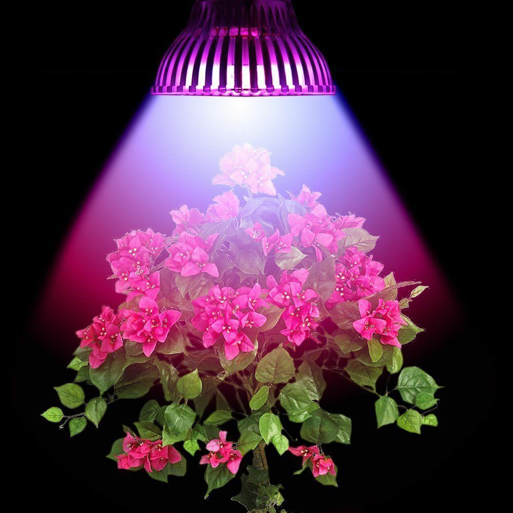 лампы для растений самому. Led plant grow light. фитолампа "весна - 50 w". фитолампа 14 вт. фитолампа ip65.