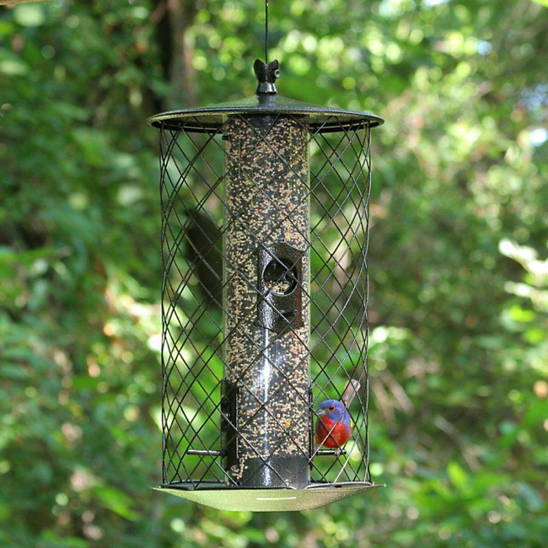 The Preserve Bird And Finch Wire Cage Bird Feeder (4-ports) | Wild Metal Ports
