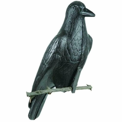 Livre Squid Mania Mad Crow Wing98 For Daiwa | eBay