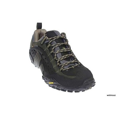 Pre-owned Merrell Shoes Trekking Men  Intercept J73703 Black