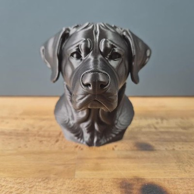 Großer Schweizer Sennenhund Büste – Realistic Greater Swiss Mountain Dog Bust |
