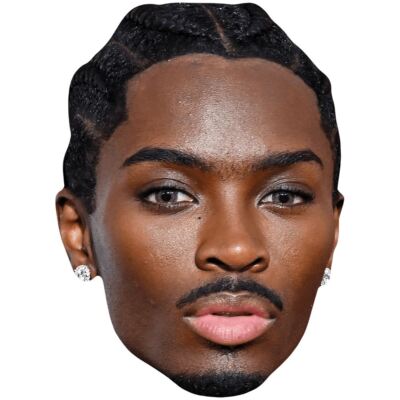 Alton Mason (Goatee) Celebrity Mask, Flat Card Face, Fancy Dress Mask
