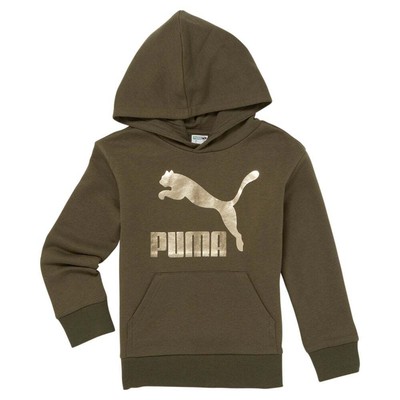 Puma Hoops Hooks Pack Ctn Fleece Pullover Hoodie Boys Green Casual Athletic Oute