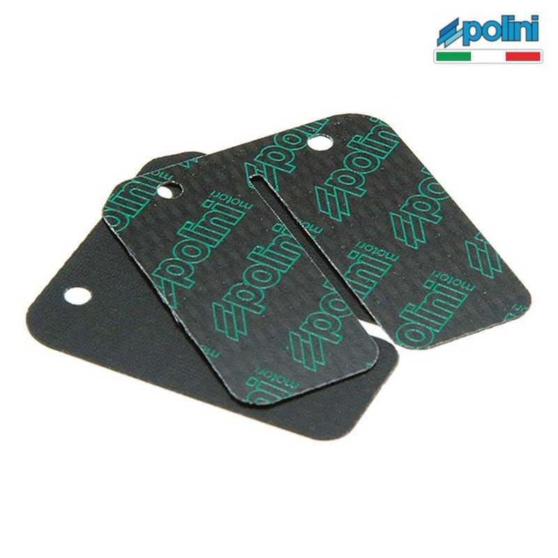 P2130530 Polini PÃTals Pack Lamellar Aprilia 50 Amico Gl 1993-1993