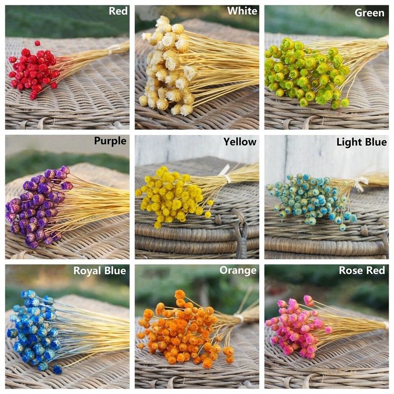 50pcs Natural Material Kawaii Happy Flower Real Flower Dried Flowers Bouquets