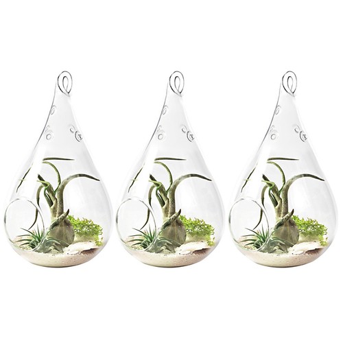 3pcs Home Clear Glass Flower Hanging Vase Teardrop Planter