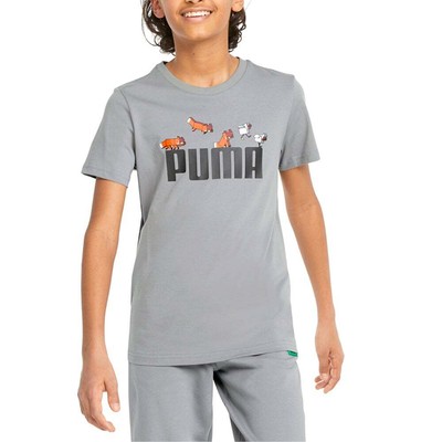 

Футболка Puma Minecraft X Graphic с круглым вырезом и короткими рукавами для мальчиков, размер , Casu, Grey, Puma Minecraft X Graphic Crew Neck Short Sleeve T-Shirt Youth