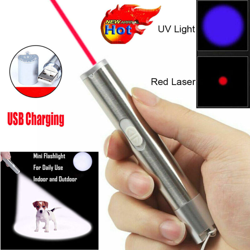 650nm Red Laser Pointer Pen Single Beam UV Light USB Rechargeable Lazer Pet Toy