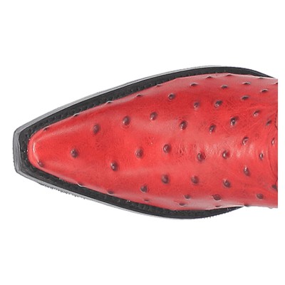 Pre-owned Dingo Selene Ostrich Print Snip Toe Cowboy Womens Red Casual Boots Di220-600