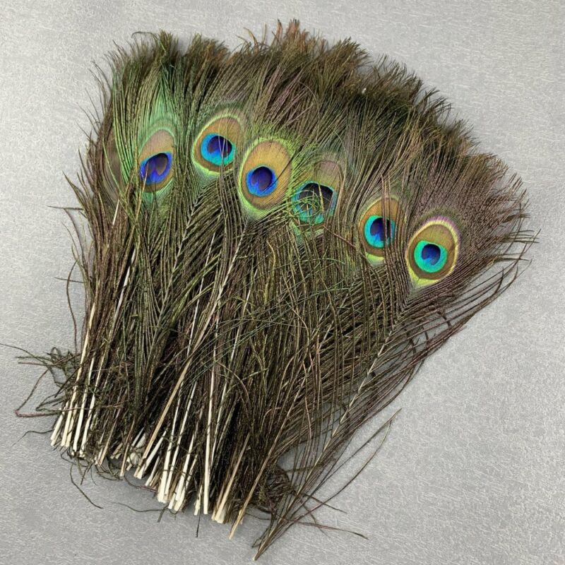 10-100pcs Natural Peacock Feathers Eyes 25-45cm/10-18inch Diy Wedding Home Plume