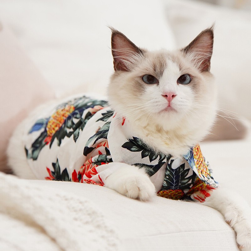 hawaiian shirt for cat