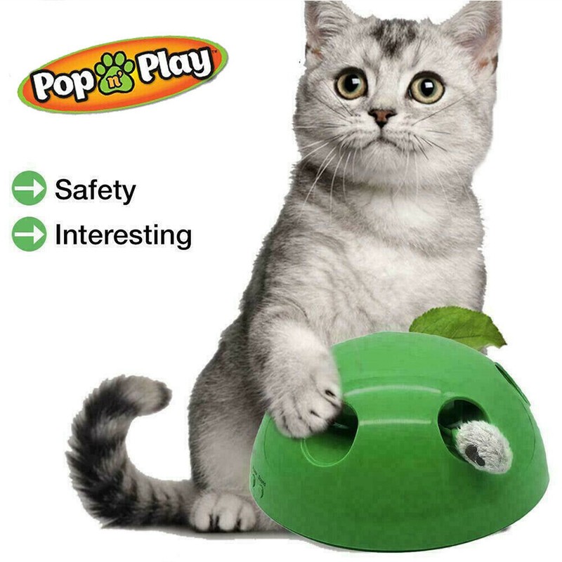 motion cat toy