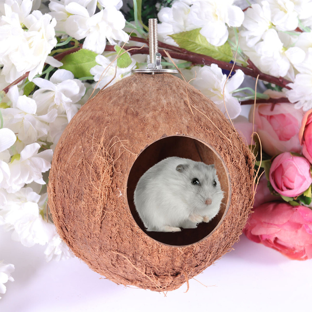Hamster Coconut Shell Hanging Cave Creative Sleeping Nest ...