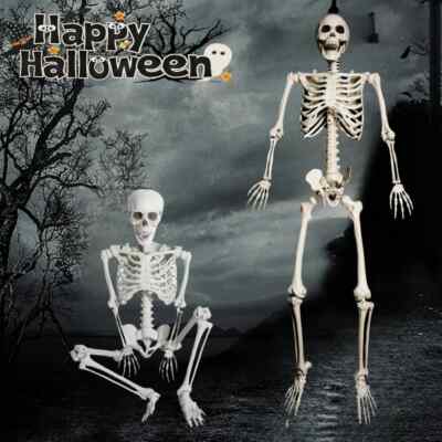 5.6ft Halloween Human Poseable Skull Skeleton Full Life Size Props Party Decor