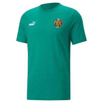 

Футболка Puma Ftblcore Fan с круглым вырезом и коротким рукавом, мужская футболка размера , повседневный топ, Зеленый, Puma Ftblcore Fan Graphic Crew Neck Short Sleeve T-Shirt