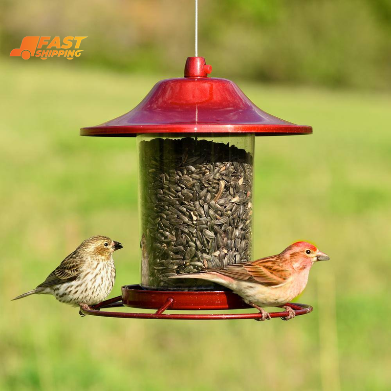 Red Sparkle Panorama Hanging Bird Feeder - 2 Lb. Capacity