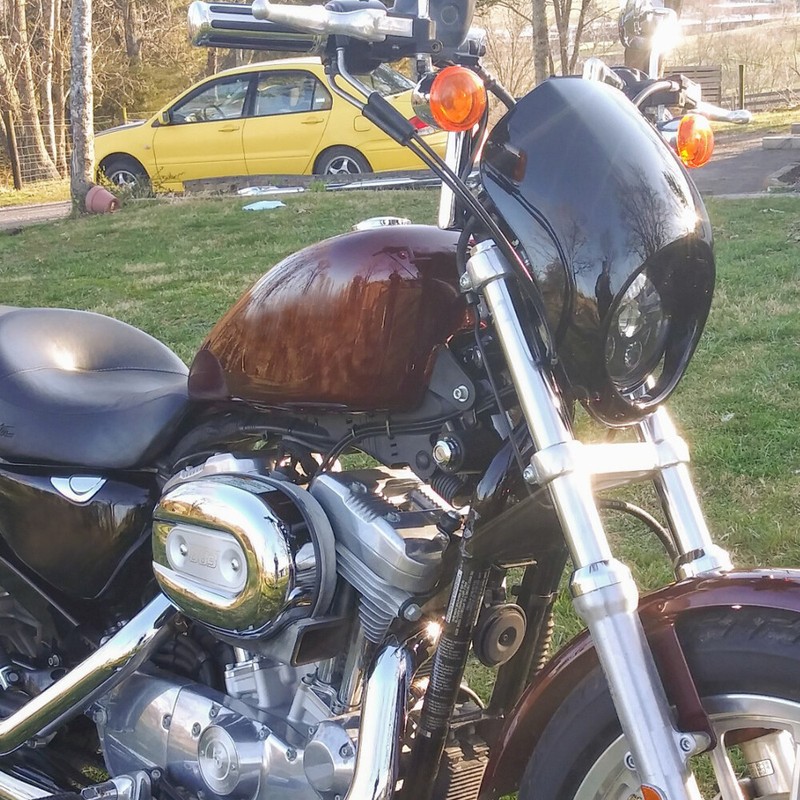 Xl 1200 883 Dyna 1973-up