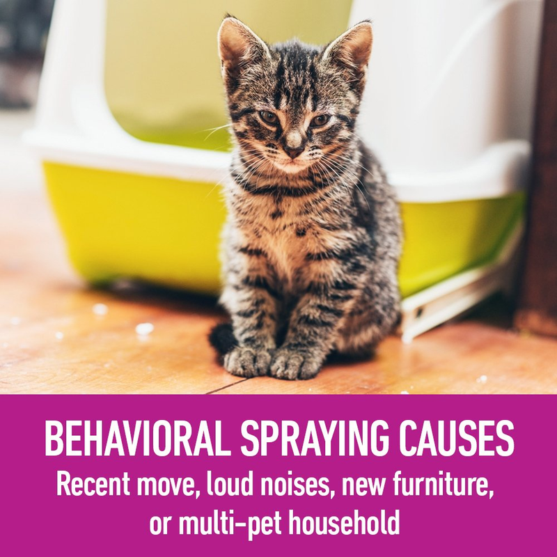 Comfort Zone Calming Diffuser Refills