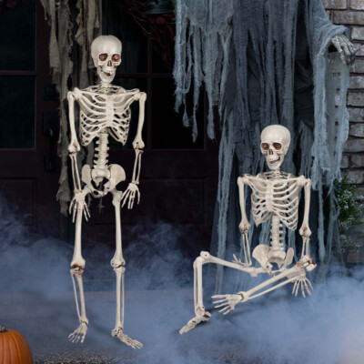 5.4ft Halloween Skeleton Full Body Life Size Skeleton Bones with Movable Joints