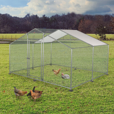Plastic Chicken Coop for sale in UK - $ 1