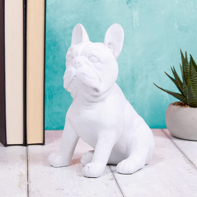 Blue velvet french bulldog 2025