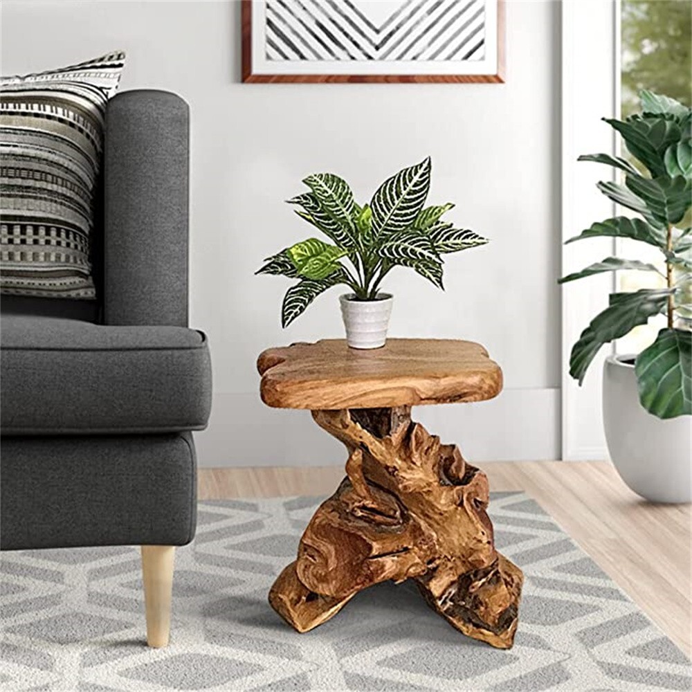 Natural Irregular Shape Tree Stump End Table Plant Stand, 14"x13"x18"H