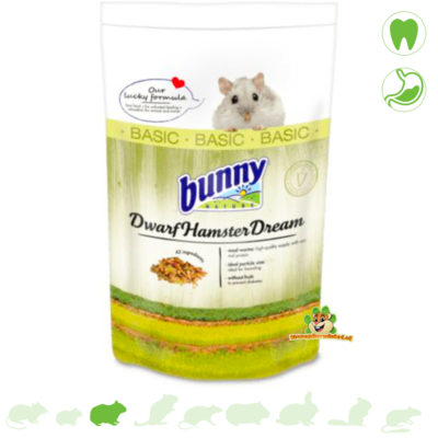 Bunny dwarf 2025 hamster dream