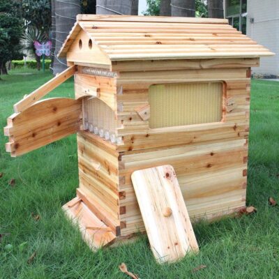 7pc Auto Flowing Honey Hive Beehive Frames & Beekeeping Brood Cedarwood Box