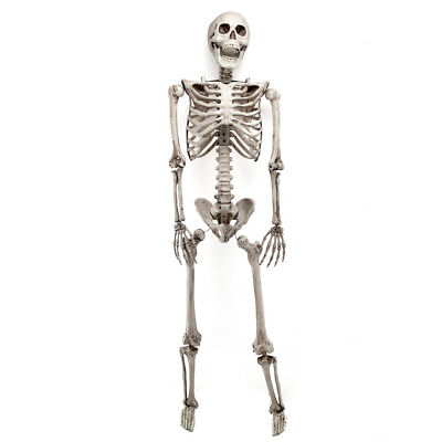 3FT Halloween Poseable Human Skeleton Party Decoration Prop Full Body Life Size