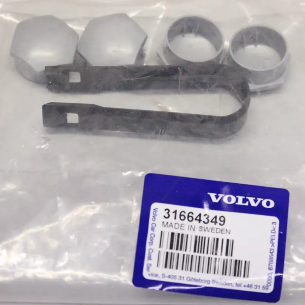 31664349 Locking wheel boltsProtective cap (Matte silver