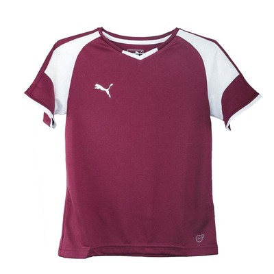 Молодежная футбольная майка Puma Borussia VNeck для мальчиков бордовая 703038-06-Y