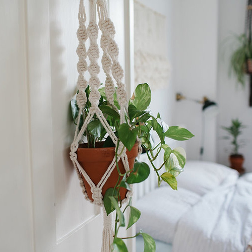 Plant Hanger Indoor Outdoor Macrame Succulent Flower Potted Holder Perfect Day 2